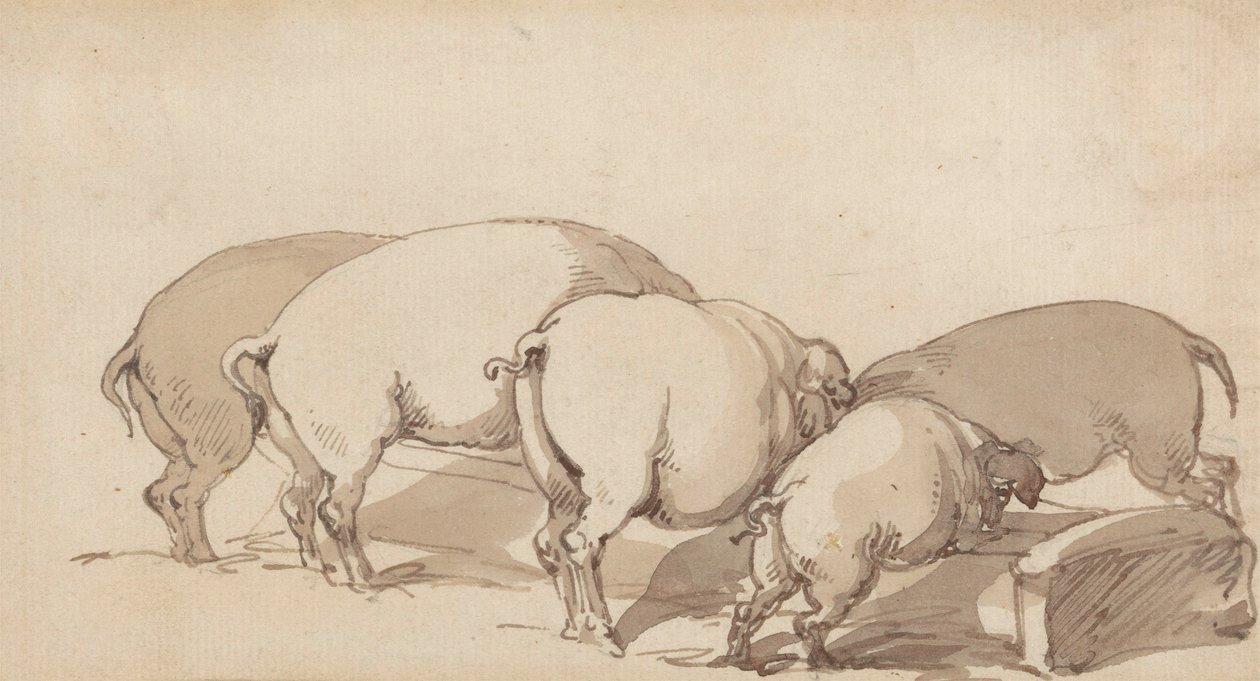 Çukurdaki Domuzlar, c.1790 (kalem ve mürekkepli grafit ve kağıt üzerinde kahverengi yıkama) by Thomas Rowlandson