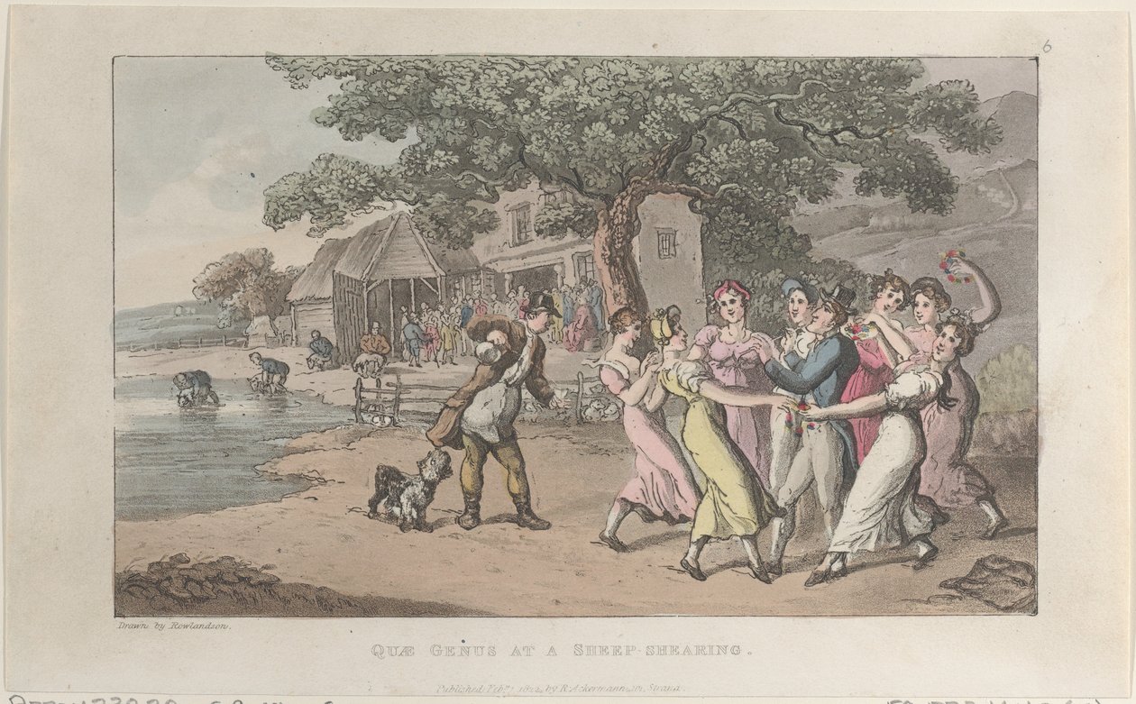 Bir Koyun Kırkmada Quae Cinsi, Johnny Quae Cinsinin Tarihinden, The Li..., 1 Şubat 1822. by Thomas Rowlandson