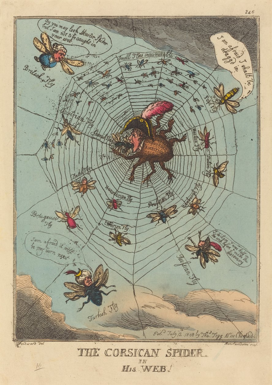Ağında Korsikalı Örümcek by Thomas Rowlandson