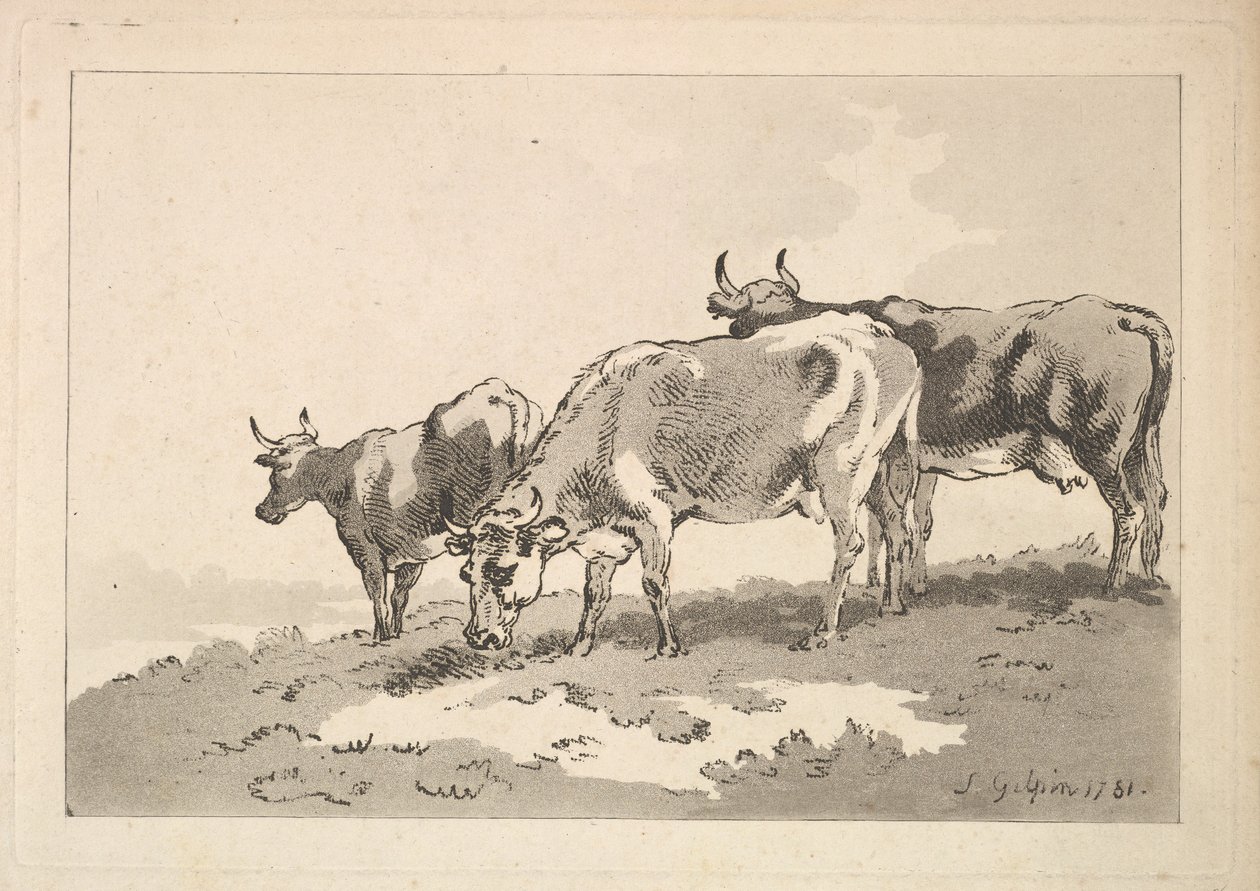 Bir Tarlanın Sırtında Duran Üç İnek, 1784-87. by Thomas Rowlandson