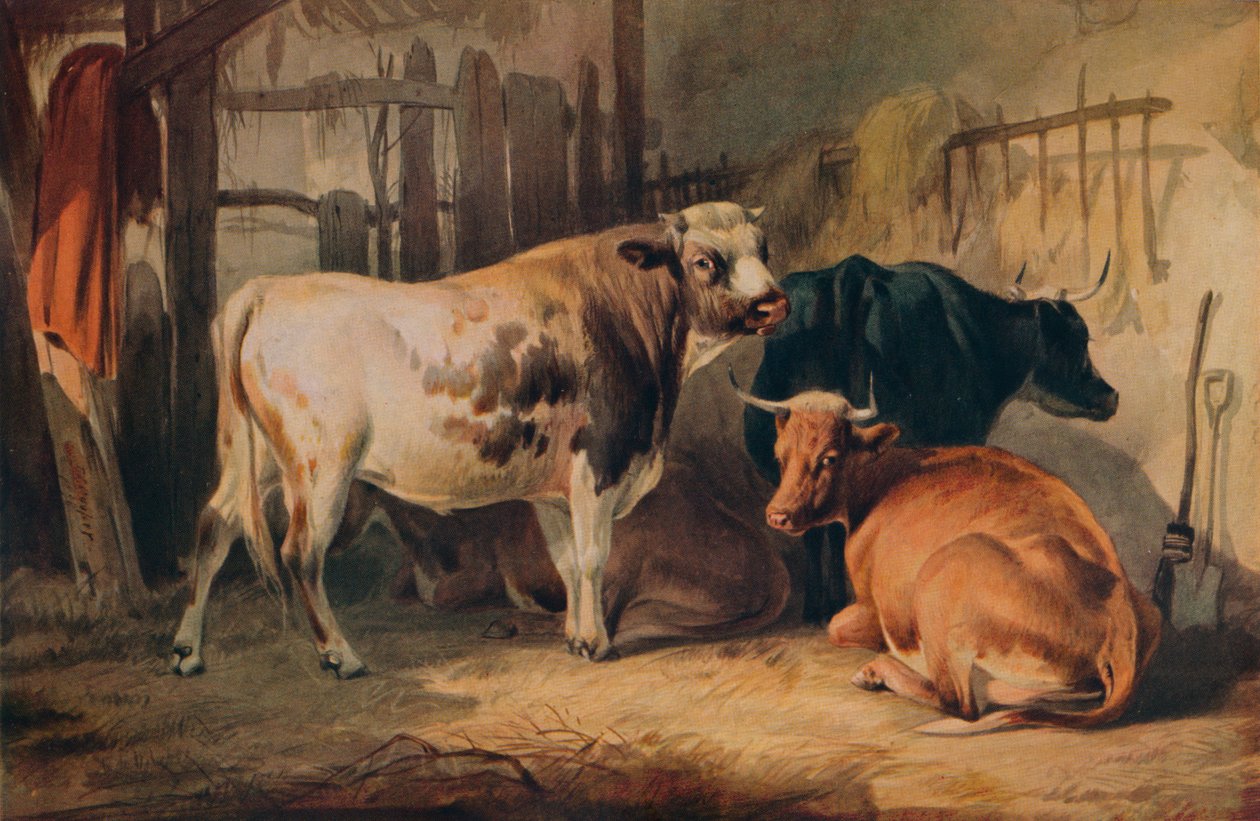 Bir Ahırda Bir Boğa ve Üç İnek, c1856 by Thomas Sidney Cooper