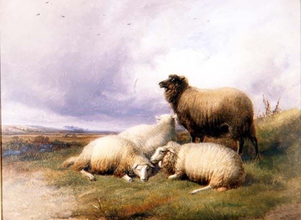 Manzaradaki Koyun by Thomas Sidney Cooper