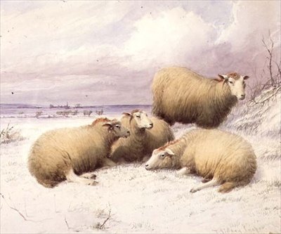 Karda Koyun (kağıt üzerine sulu boya) by Thomas Sidney Cooper