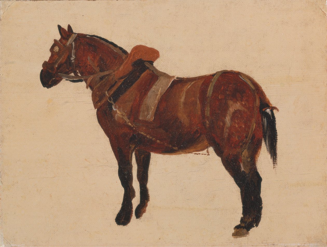 Çalışan Bir Atın İncelenmesi by Thomas Sidney Cooper