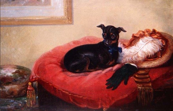 En Sevdiği Evcil Hayvan: Kırmızı yastık üzerinde bir Manchester Terrier by Thomas Smythe