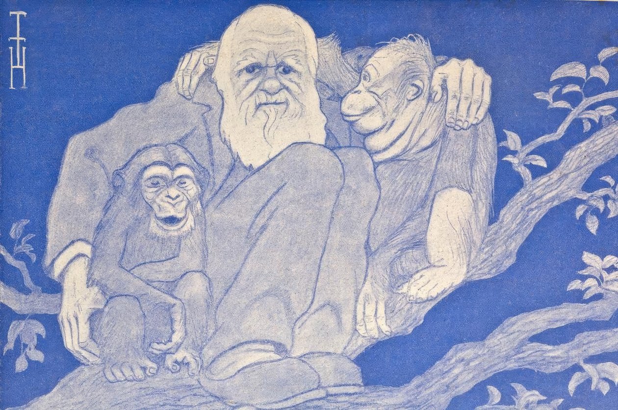 1909 Darwin çizgi film maymun detaylı by Thomas Theodor Heine