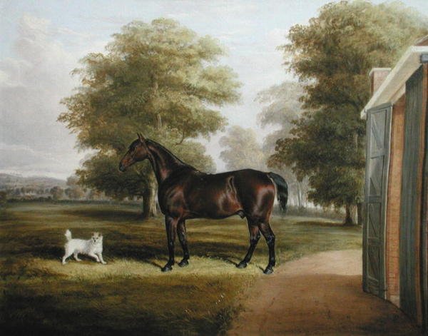 Bir Terrier ile Bir Körfez Atı by Thomas W. Bretland