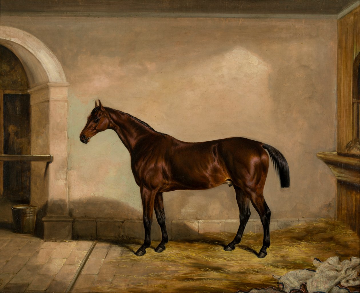 Teddy the Tiler: A Horse, 1842 dolayları (tuval üzerine yağlı boya) by Thomas W. Bretland