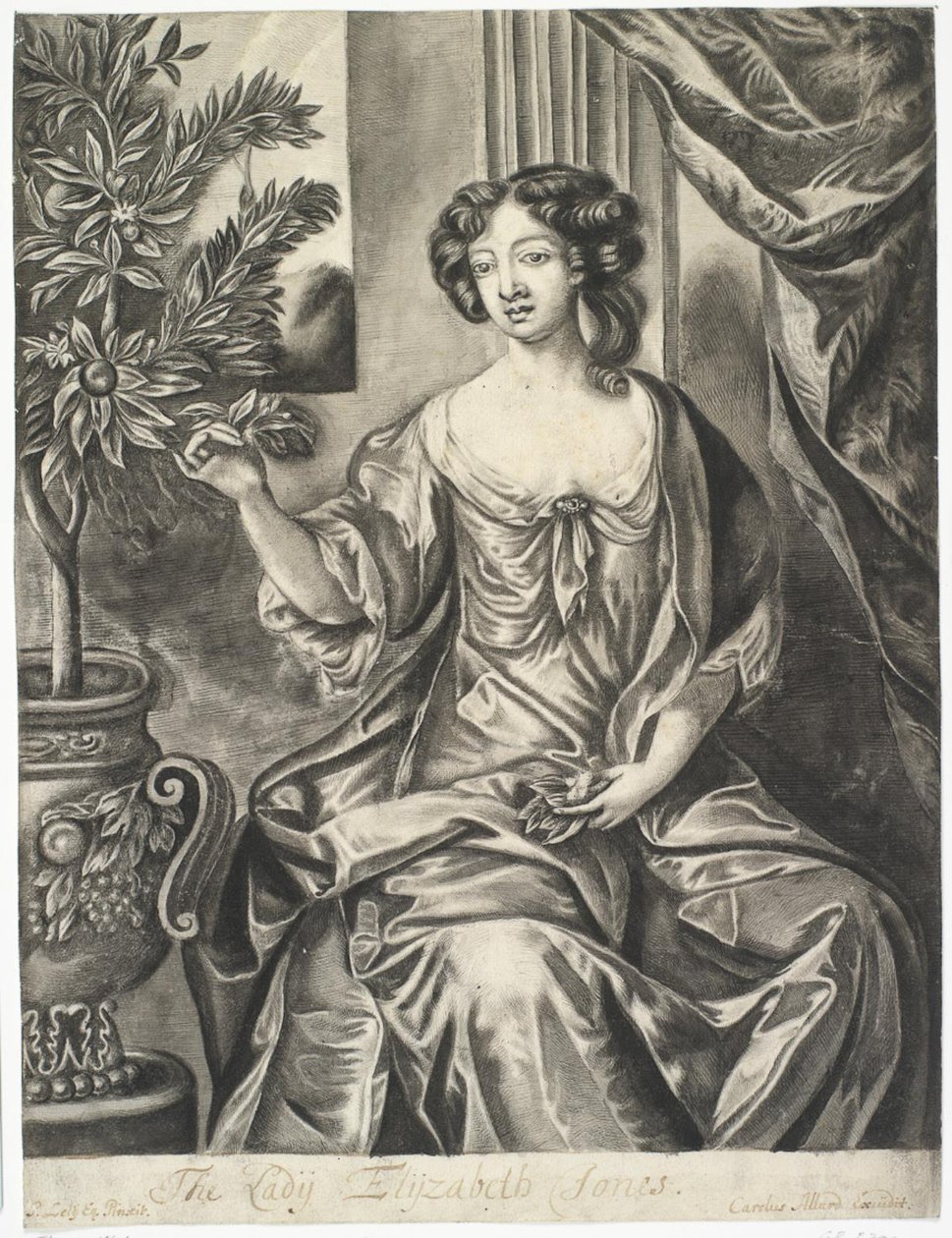 Bayan çiçek saksısı; Sir Peter Lely