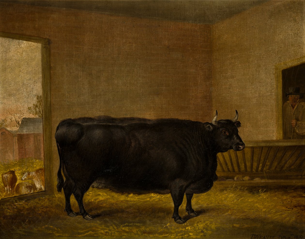 Ödüllü Bir Boğa: Şişman Kerry İnek, c.1819 (tuval üzerine yağlı boya) by Thomas Weaver