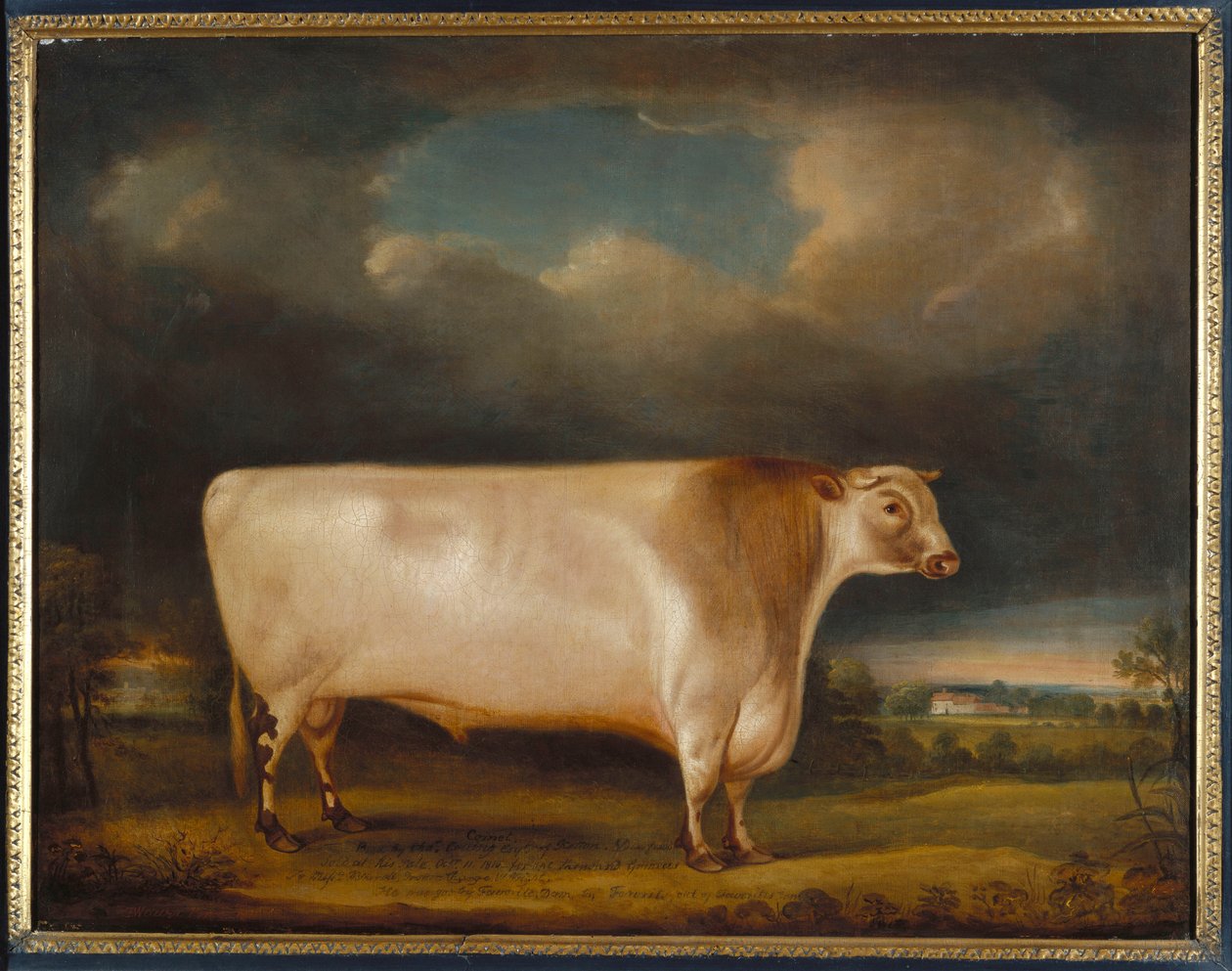 Kuyruklu yıldız, bir manzarada hafif kükreyen kısa boynuzlu bir boğa, 1811 by Thomas Weaver