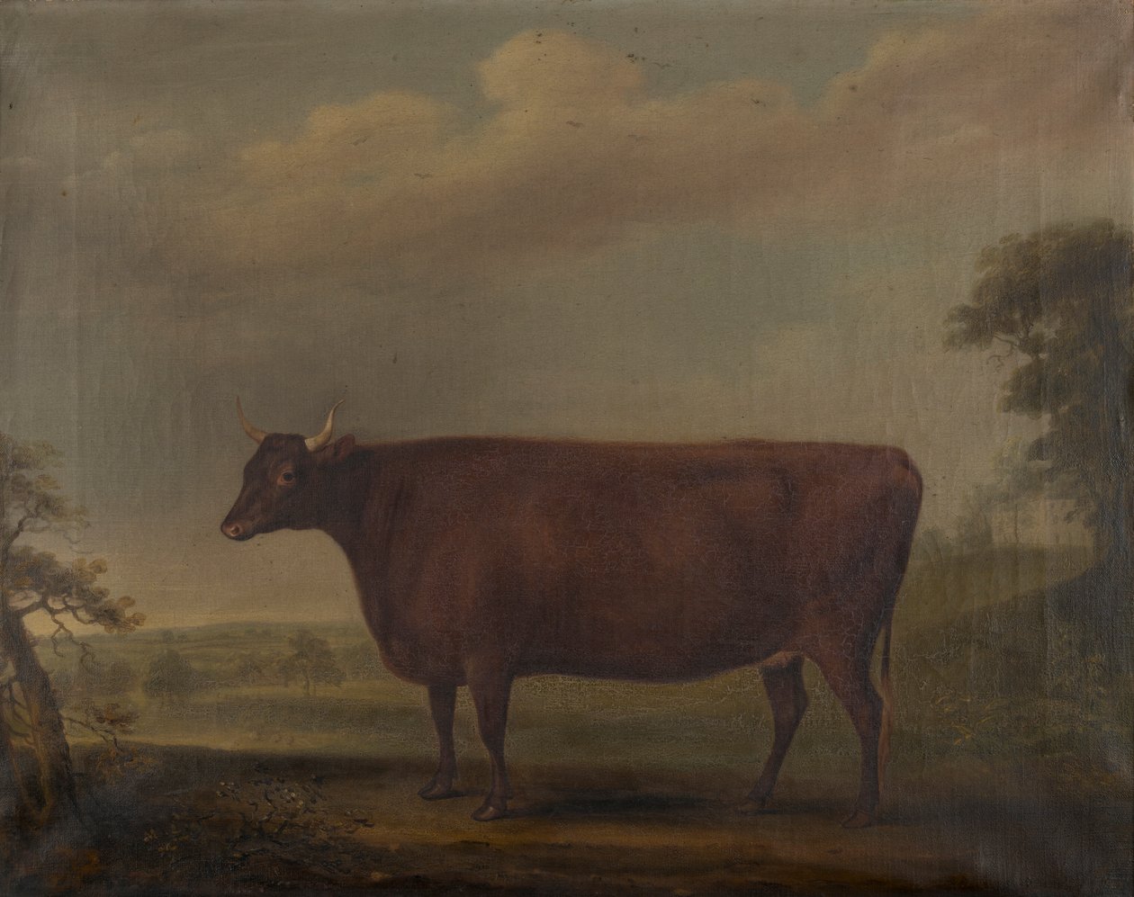 Manzarada Red Devon Düveler, 1812 dolayları (tuval üzerine yağlı boya) by Thomas Weaver