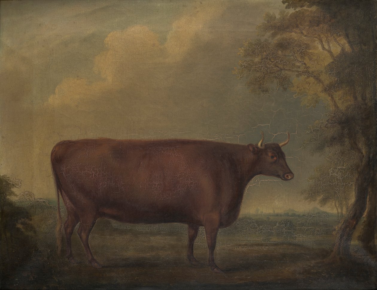 Manzarada Red Devon Düveler, 1812 dolayları (tuval üzerine yağlı boya) by Thomas Weaver