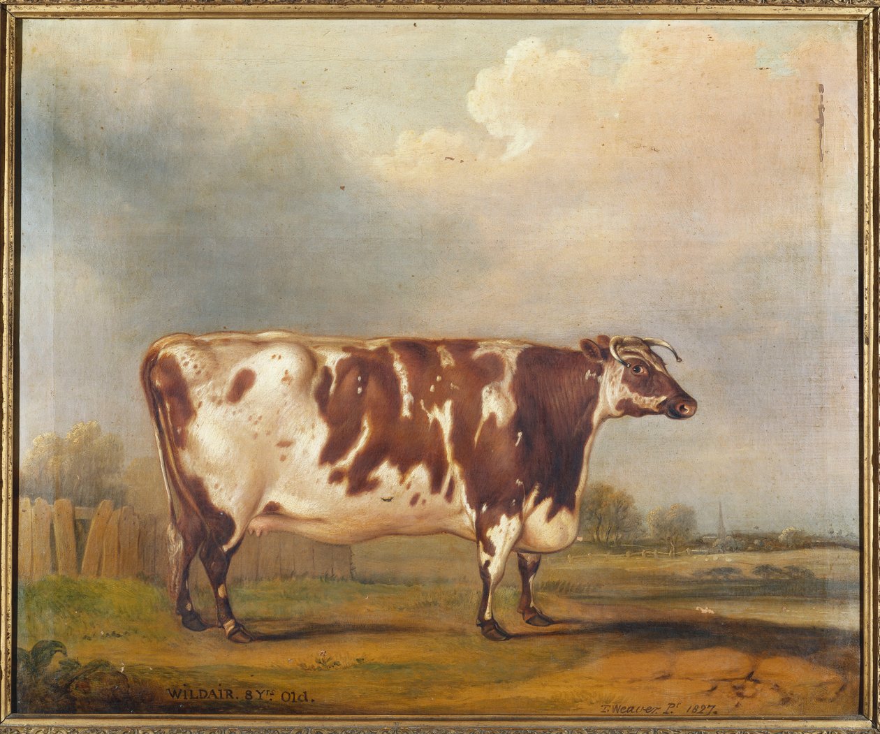 Wildair, bir nehir manzarasında sekiz yaşında bir düve, 1827 by Thomas Weaver