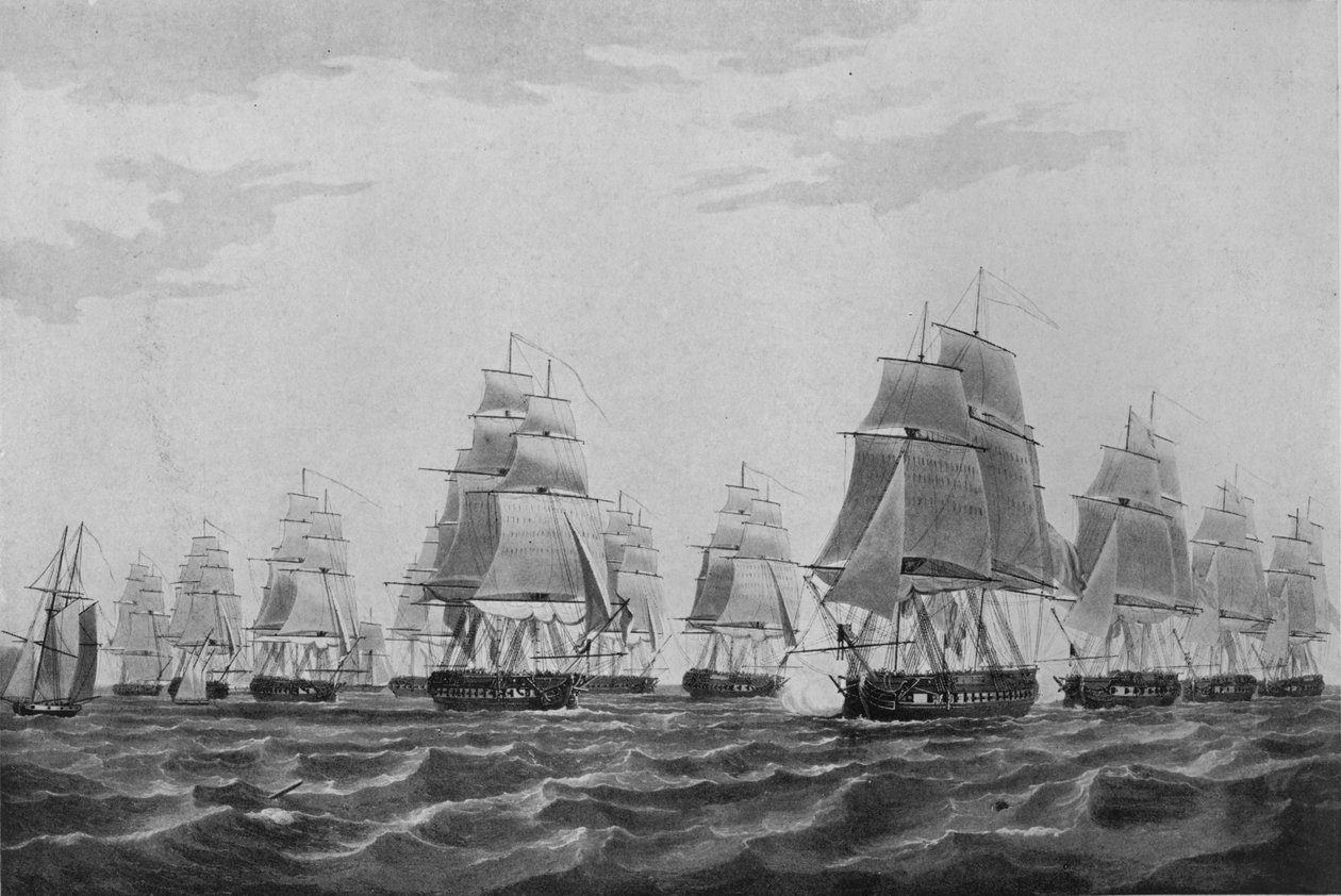 Nelson
