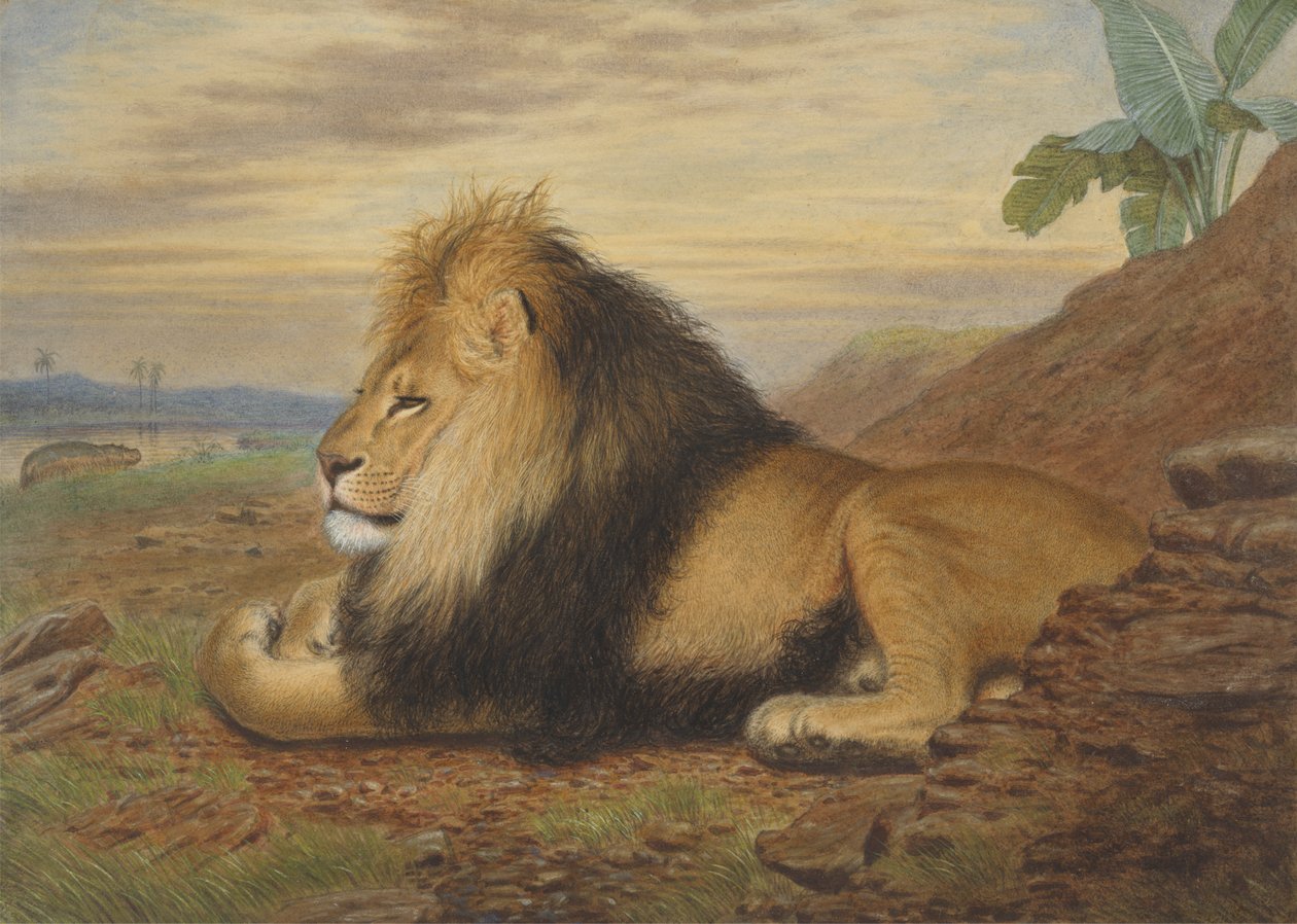 Bir aslan by Thomas William Wood