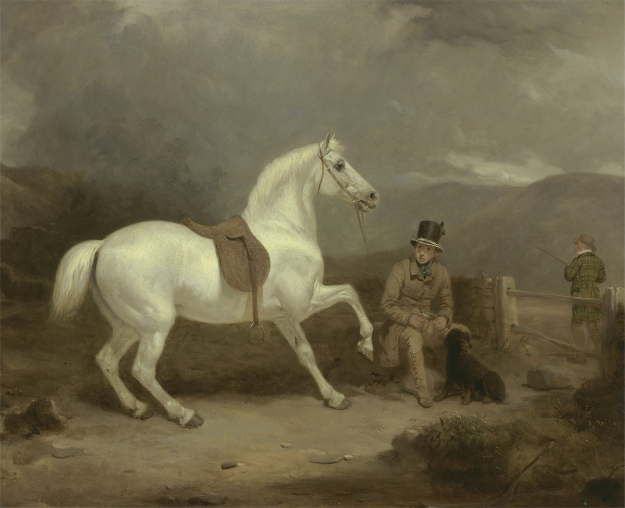 Bay Johnstone King