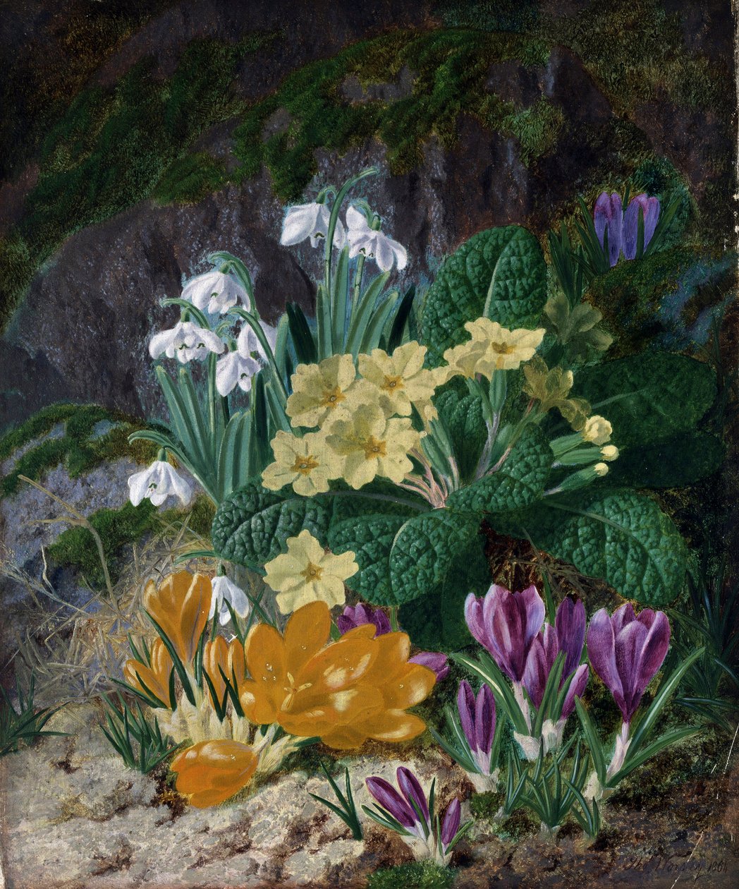 Bahar çiçekleri (çiğdem ve çuha çiçeği dahil). Thomas Worsey (1829-1875) tarafından yapılmış resim Özel koleksiyon. by Thomas Worsey