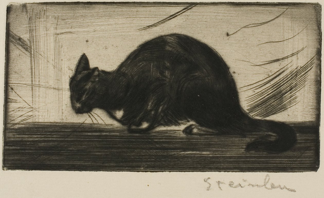  by Théophile Alexandre Pierre Steinlen