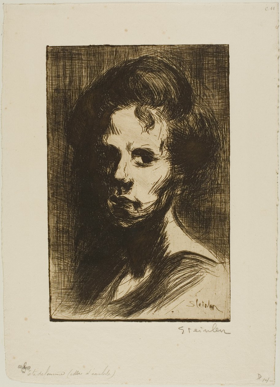  by Théophile Alexandre Pierre Steinlen