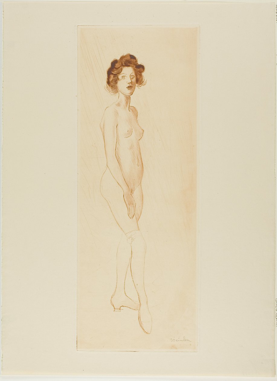  by Théophile Alexandre Pierre Steinlen