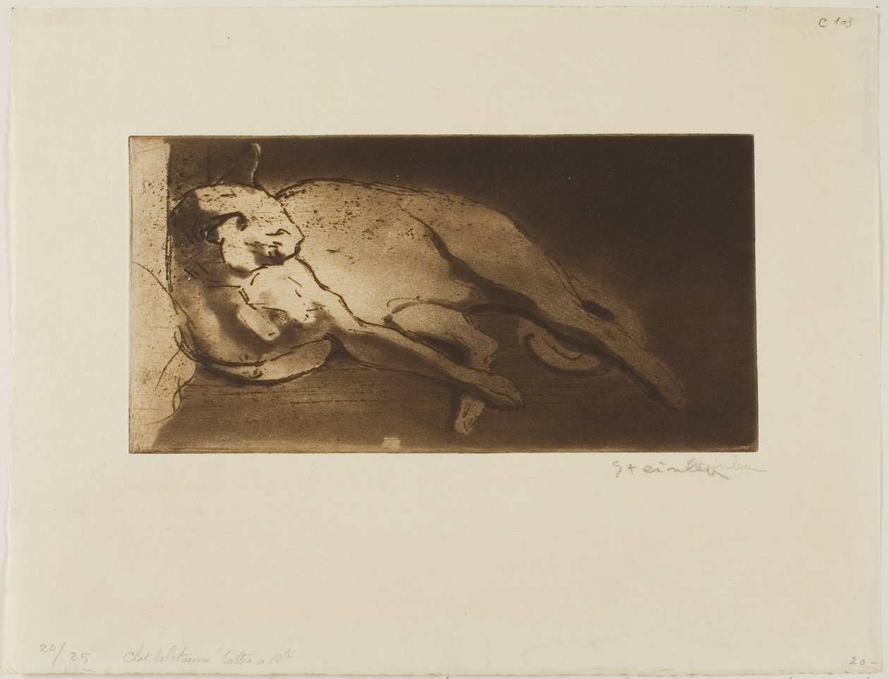  by Théophile Alexandre Pierre Steinlen