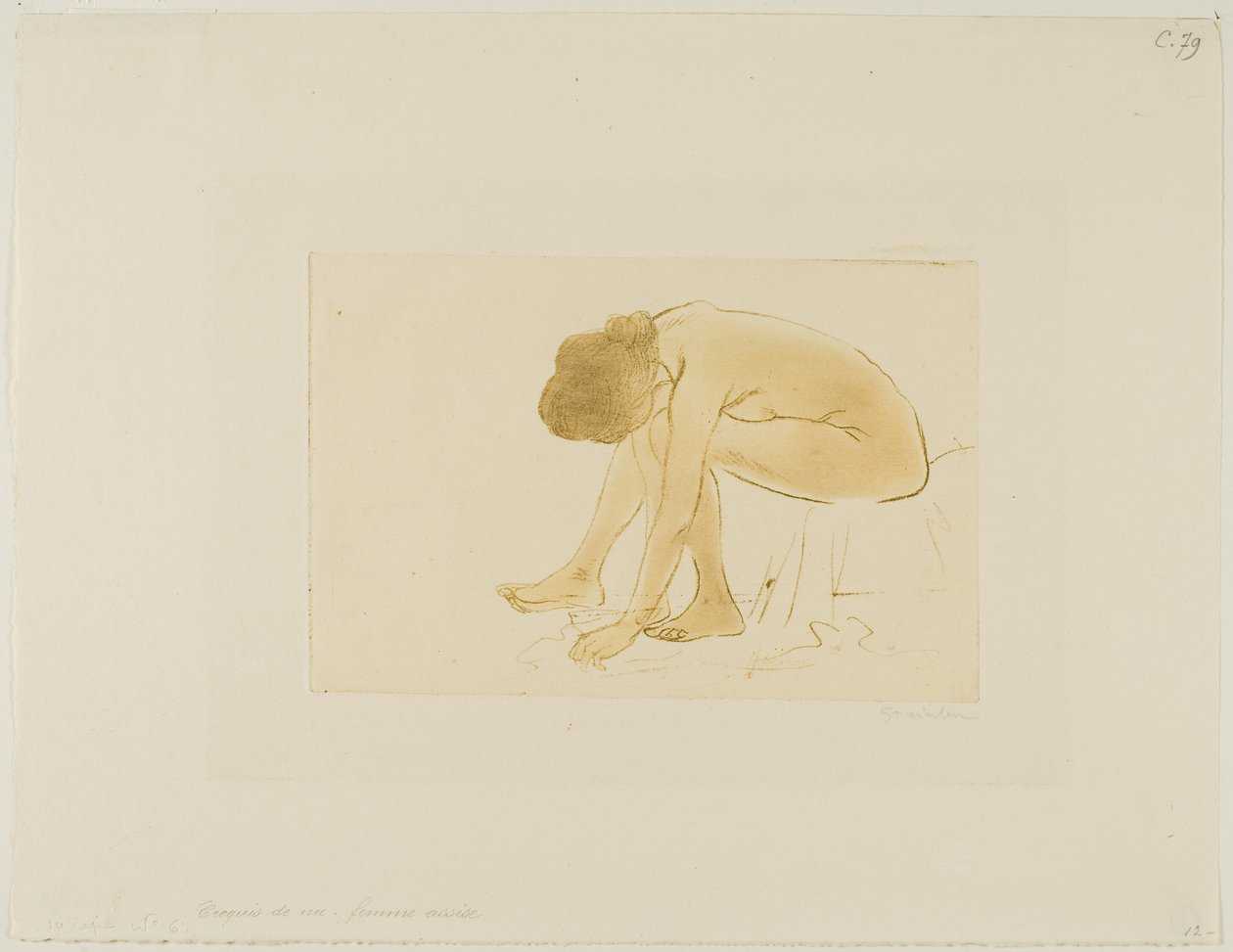  by Théophile Alexandre Pierre Steinlen