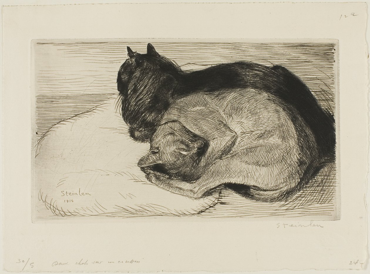  by Théophile Alexandre Pierre Steinlen