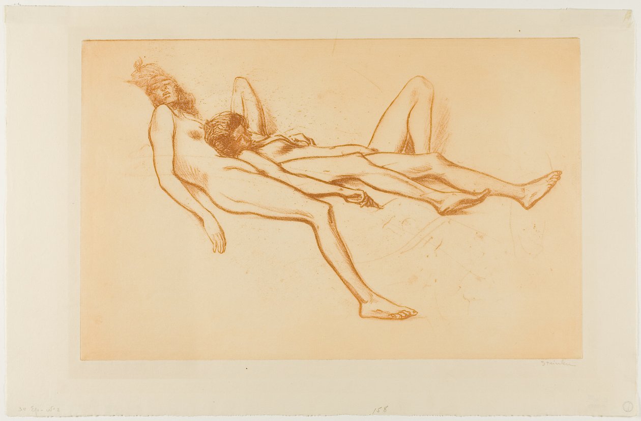  by Théophile Alexandre Pierre Steinlen