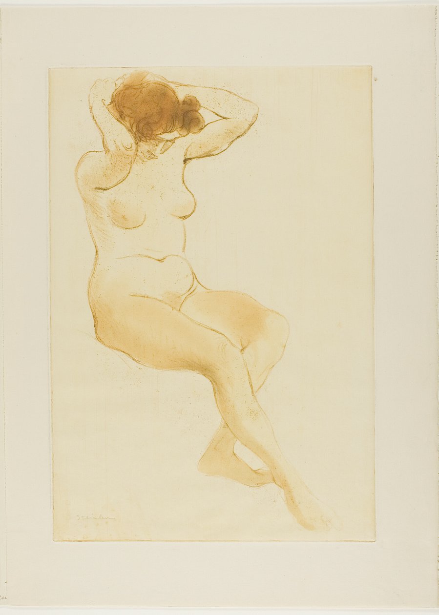  by Théophile Alexandre Pierre Steinlen