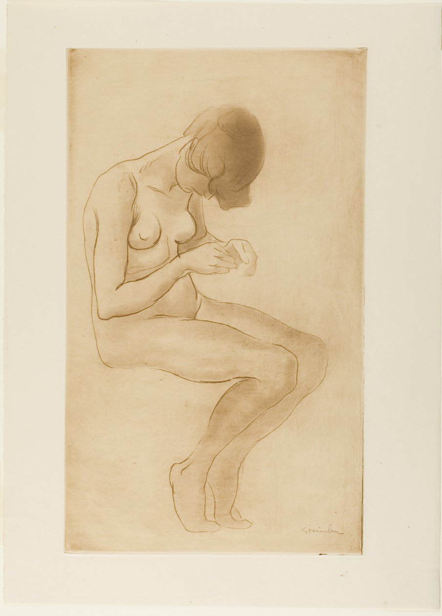  by Théophile Alexandre Pierre Steinlen