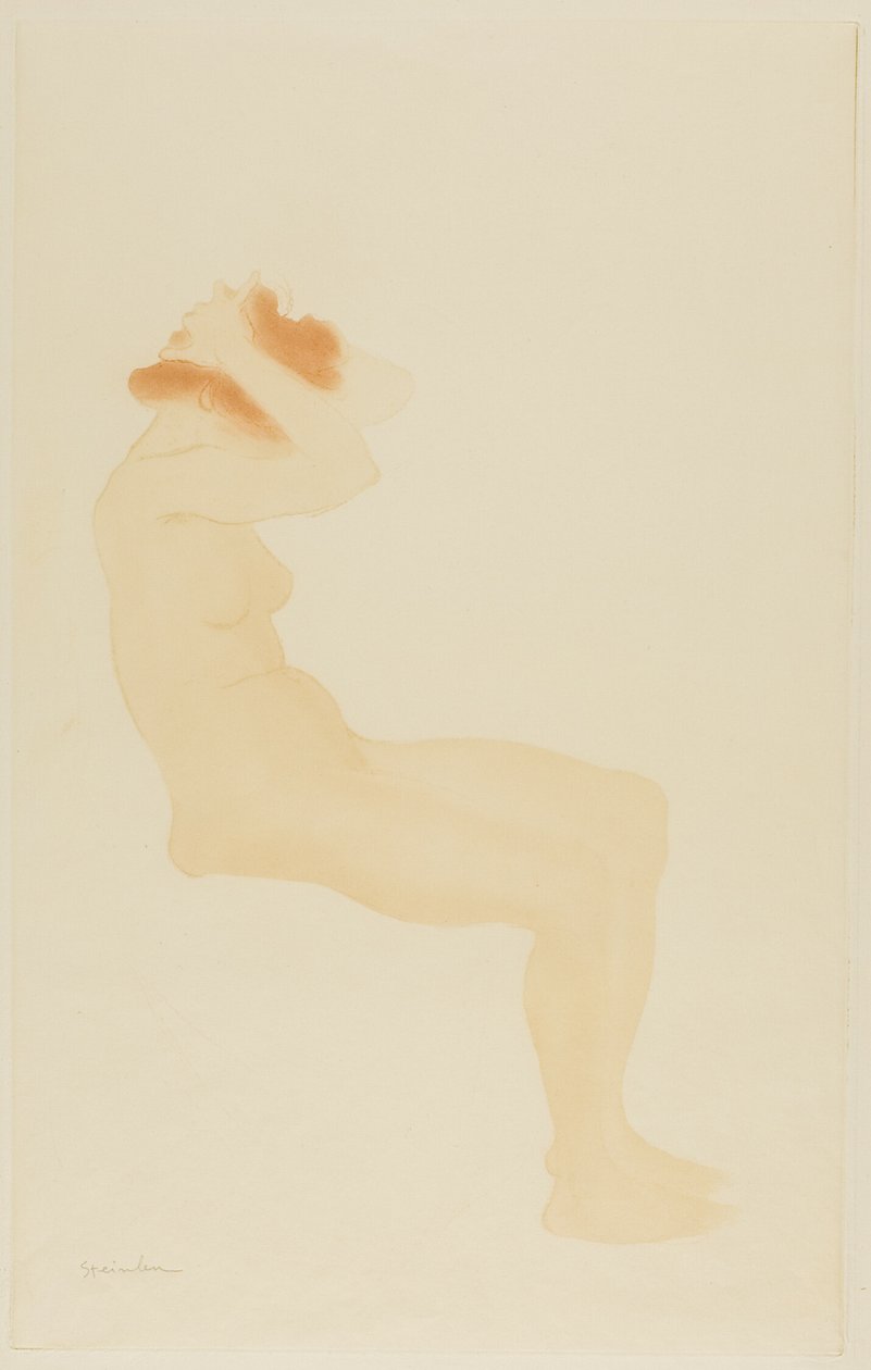  by Théophile Alexandre Pierre Steinlen