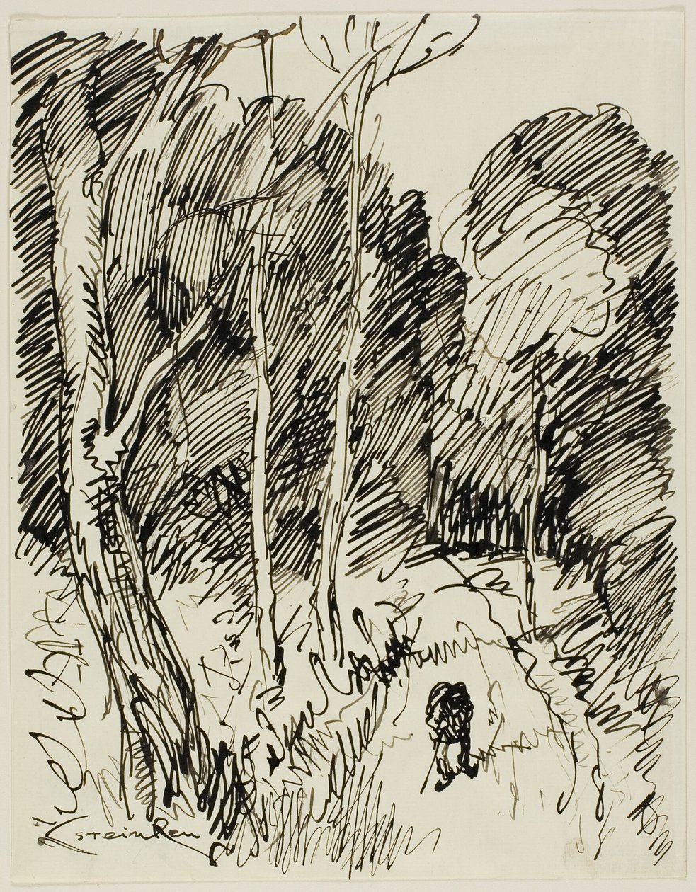  by Théophile Alexandre Pierre Steinlen