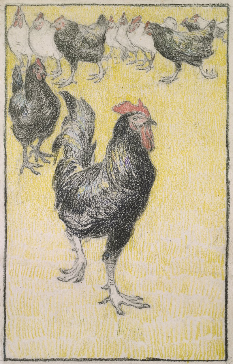 Horoz, ardından siyah beyaz Tavuklar (beyaz kağıt üzerinde siyah ve renkli tebeşir ile grafit, siyah tebeşirle bir çizgi ile kenar) by Théophile Alexandre Steinlen