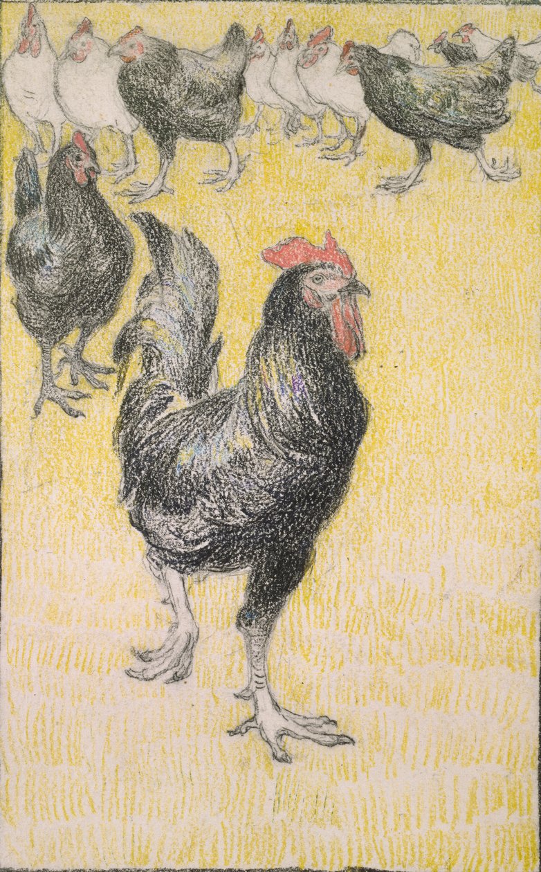 Horoz, ardından siyah beyaz tavuklar, 1899 by Théophile Alexandre Steinlen