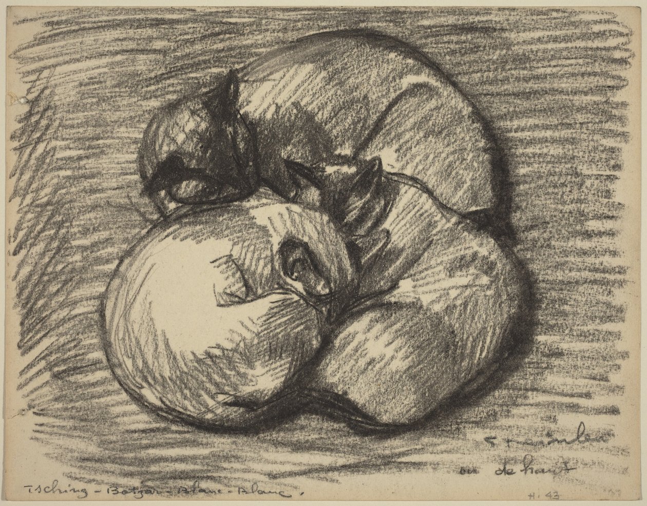 Kediler: Tsching, Batzar ve Blanc-Blanc, 19. yüzyılın sonları ile 20. yüzyılın başlarında. by Théophile Alexandre Steinlen
