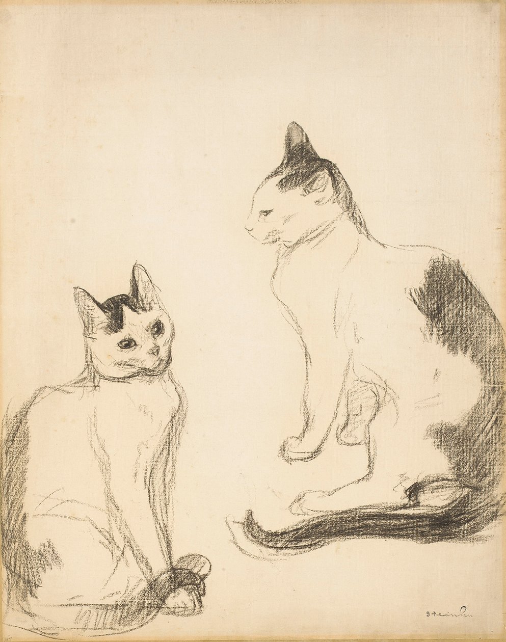 İki Kedi; iki kedi by Théophile Alexandre Steinlen