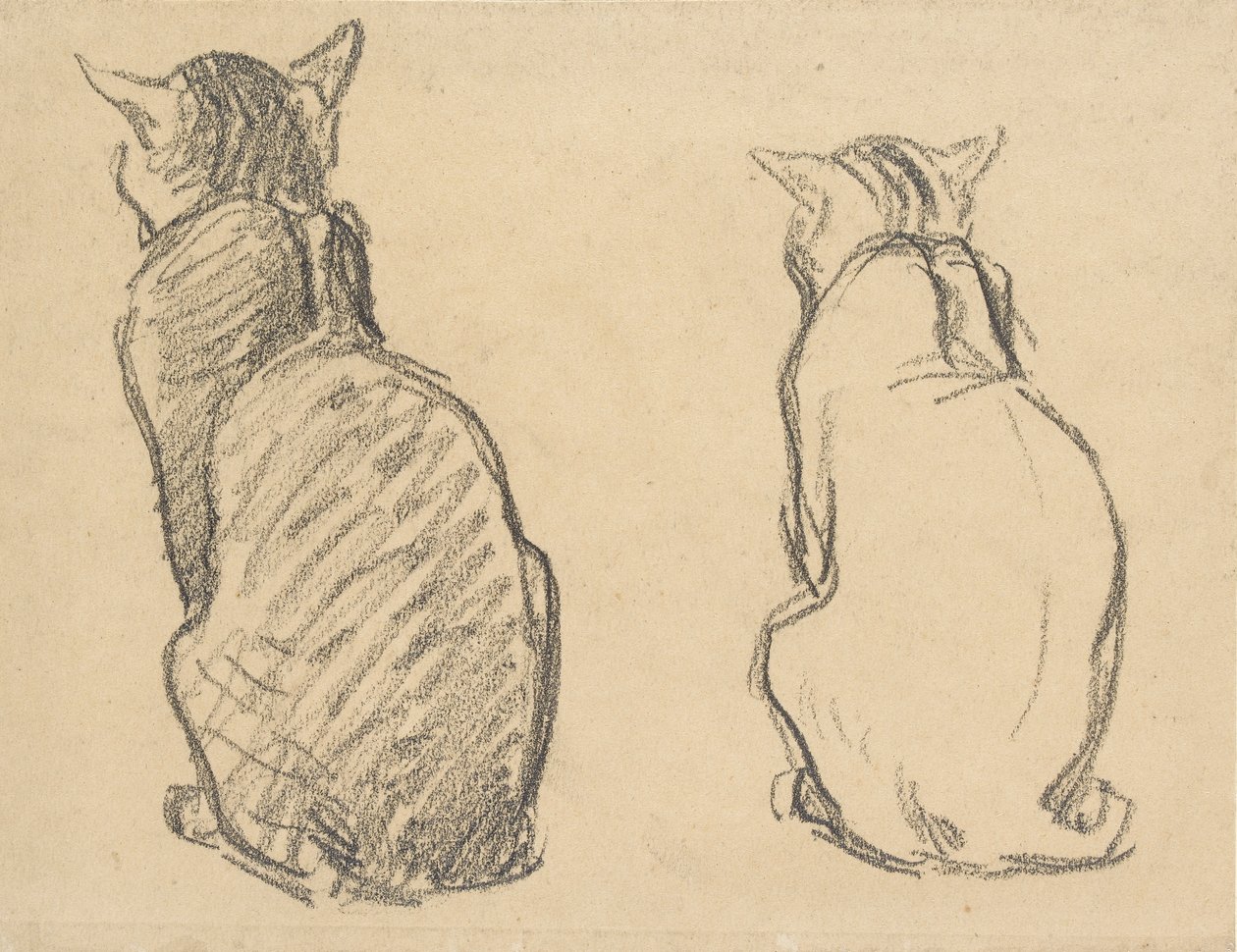 Bir Kedinin İki Çalışması, 20. yüzyılın başları by Théophile Alexandre Steinlen