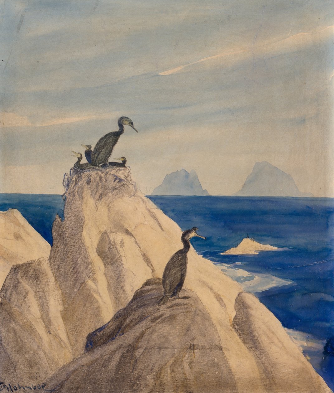 Kuzey Gannets (kağıt üzerine kurşun kalem ve sulu boya) by Thorolf Holmboe