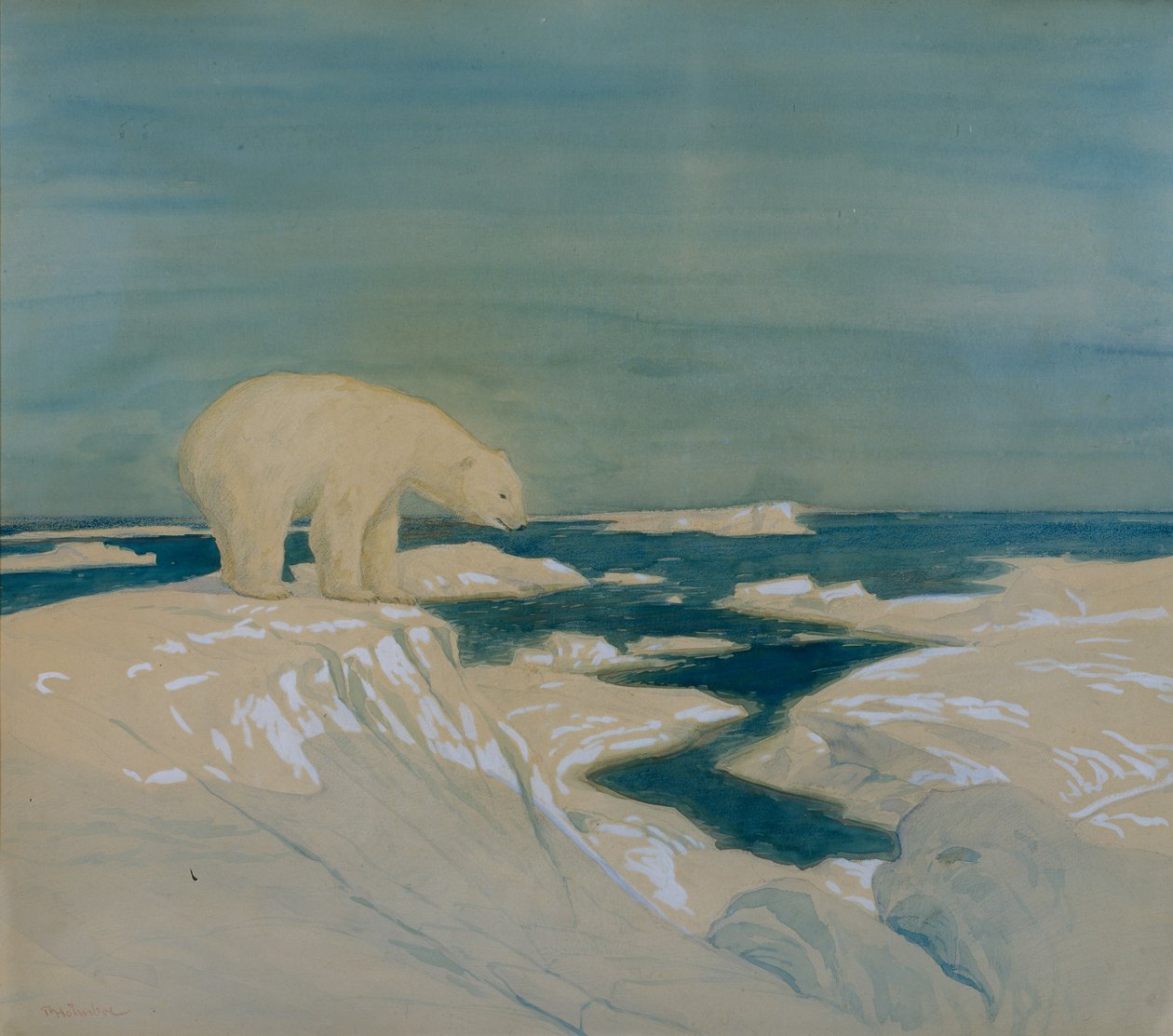 Kutup Ayısı (kağıt üzerine sulu boya) by Thorolf Holmboe