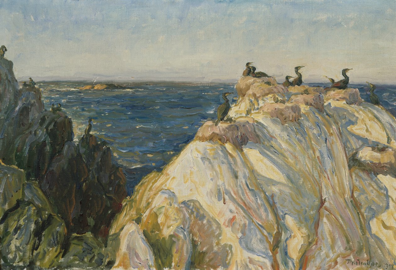 deniz kuşu by Thorolf Holmboe