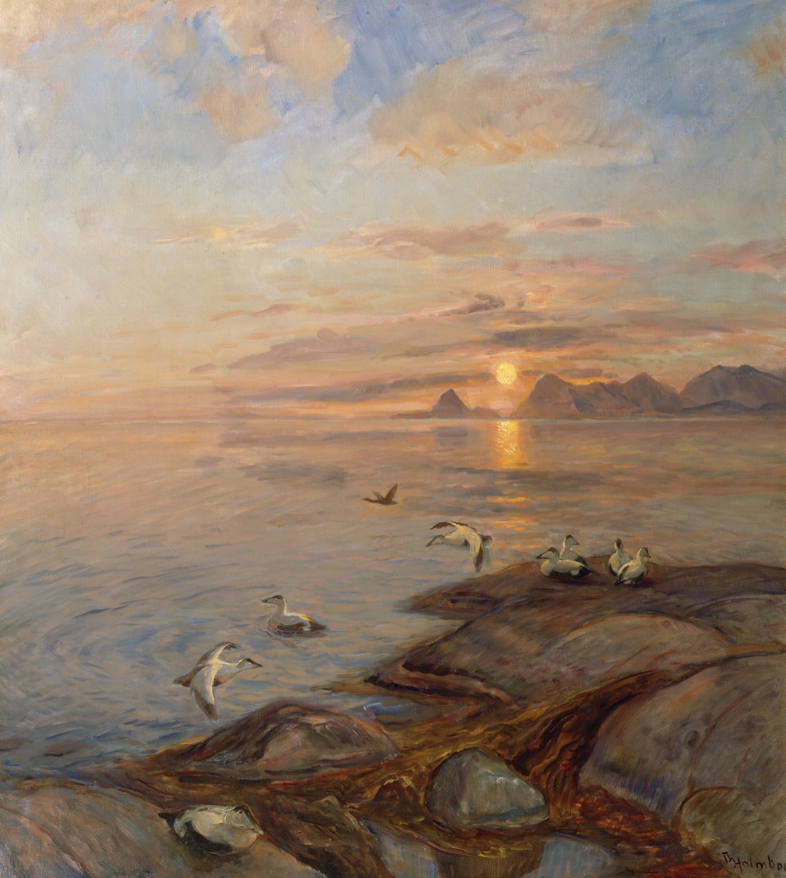 Gece Yarısı Güneşinde Deniz Kuşları (tuval üzerine yağlı boya) by Thorolf Holmboe