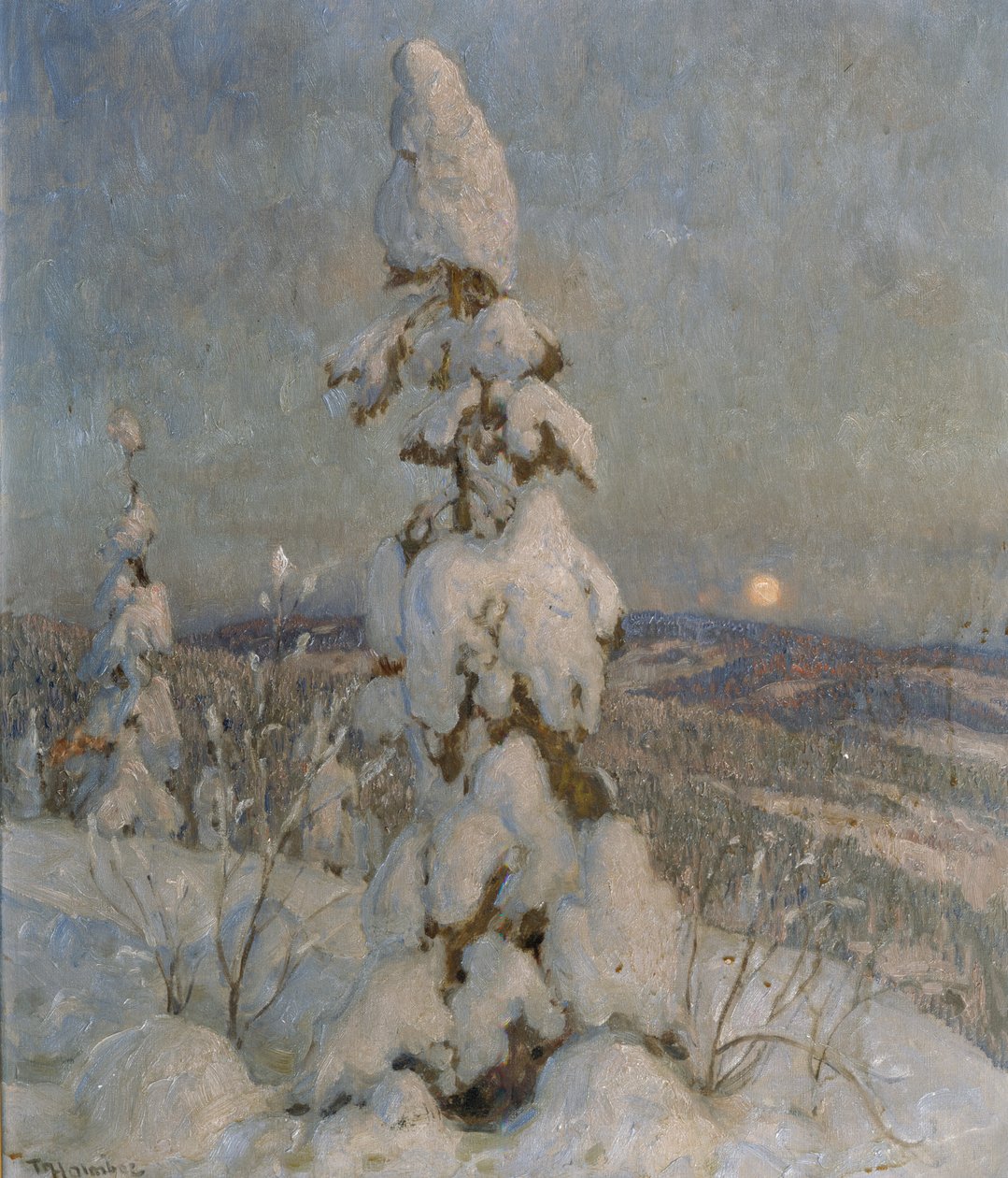Ay Işığında Karla Kaplı Ladin (tuval üzerine yağlı boya) by Thorolf Holmboe