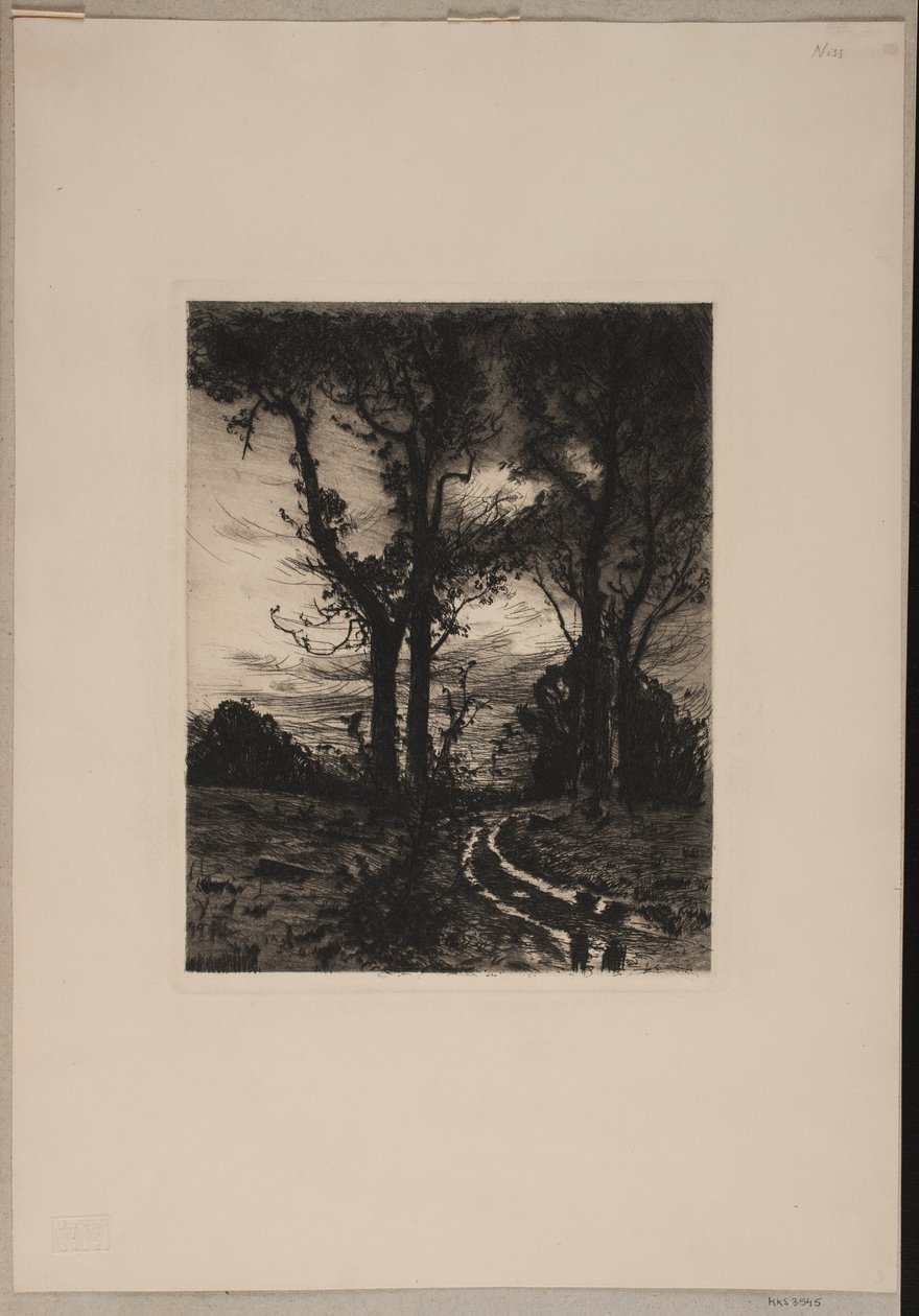 Ağaçlar arasında araba yolu by Thorvald Niss