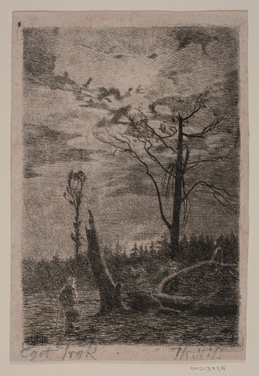 Ormansızlaşma. Akşam by Thorvald Niss