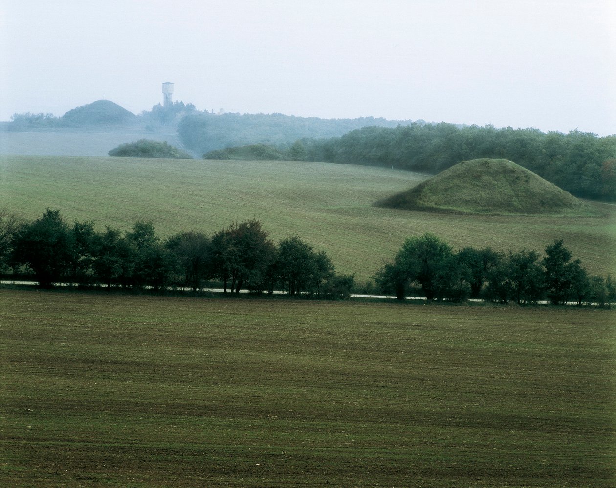 Sveshtari