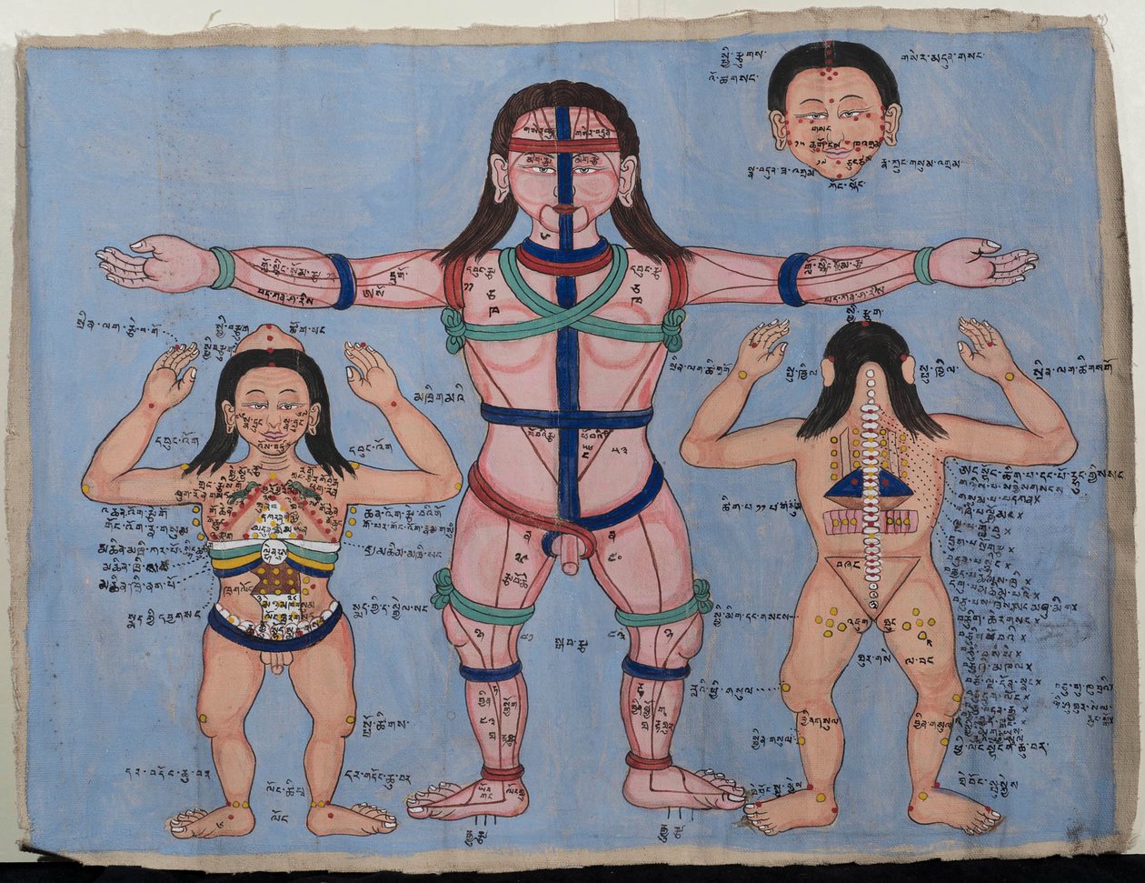 Anatomik şema (tuval üzerine wc) by Tibetan School