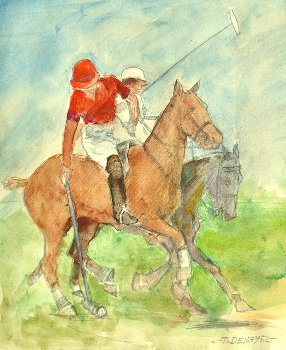 polo maçı by Tibor Dengyel