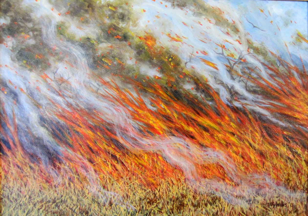Orman Yangını Cehennemi, 2014, by Tilly Willis