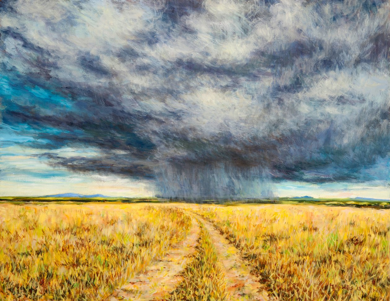 Mara Fırtınası, 2012 by Tilly Willis